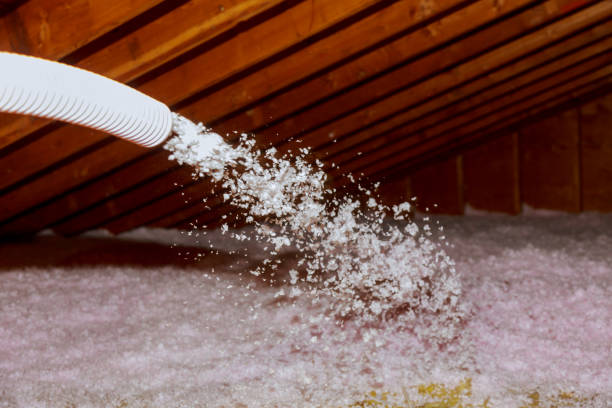 Best Blown-In Insulation  in Alsip, IL